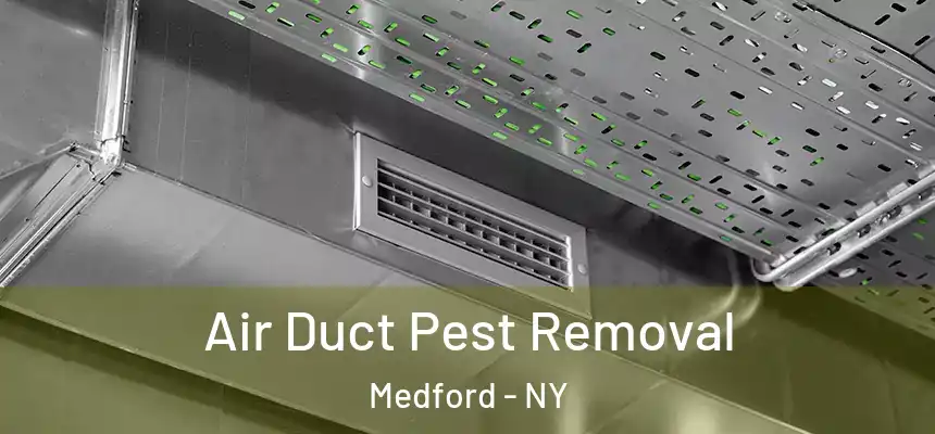  Air Duct Pest Removal Medford - NY