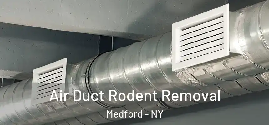  Air Duct Rodent Removal Medford - NY