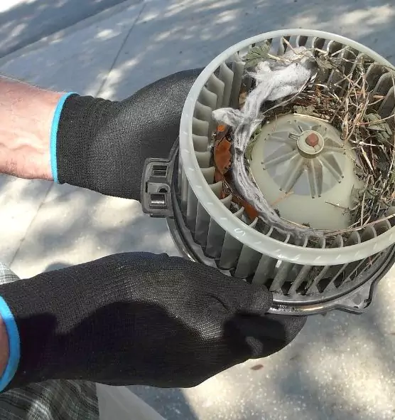 About Air Duct Mice Removal in Medford, NY