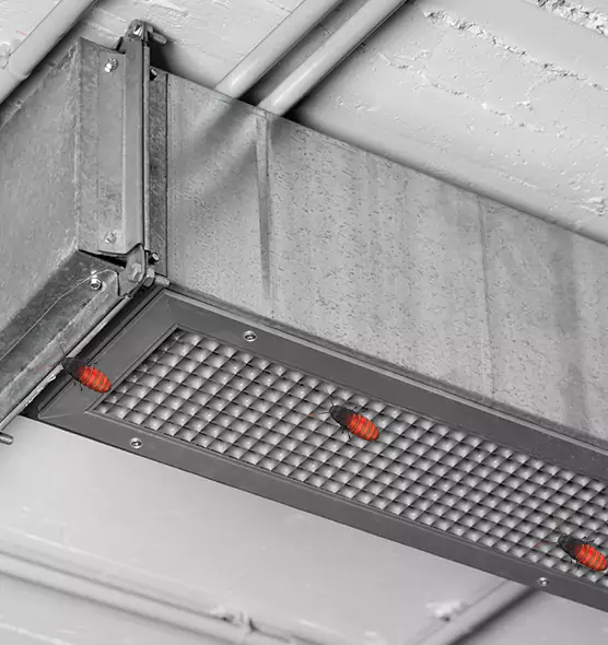 Affordable Insect Removal from Air Ducts in Medford, NY