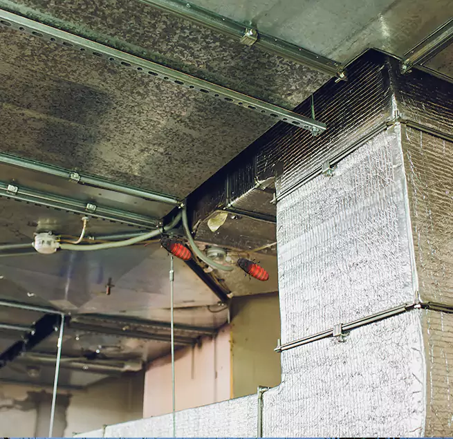 Why Homeowners & Businesses Trust Us in Medford, NY?